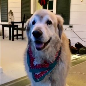 Meet your Posher, Tomas